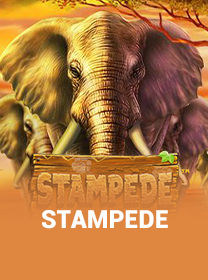 Stampede Game: Fitur Unggulan dan Cara Bermain — ikon game